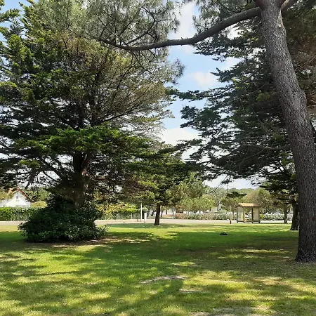 T3 A : Plage, Terrasse, Jardin Clos Et Parking Prive - Fr-1-239-971