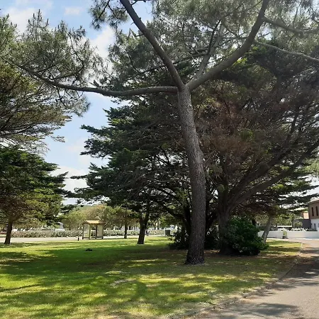T3 A : Plage, Terrasse, Jardin Clos Et Parking Prive - Fr-1-239-971 * Seignosse